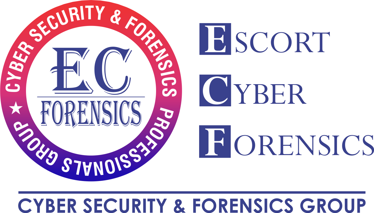 Escort Cyber Forensics